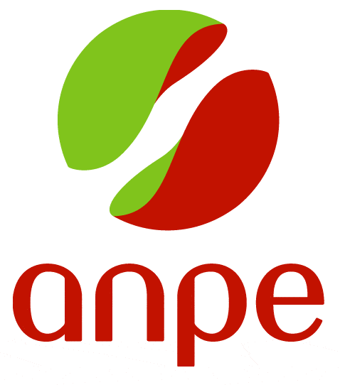 CAP EMPLOI et ANPE : rôles des organismes de placement